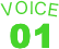 VOICE01